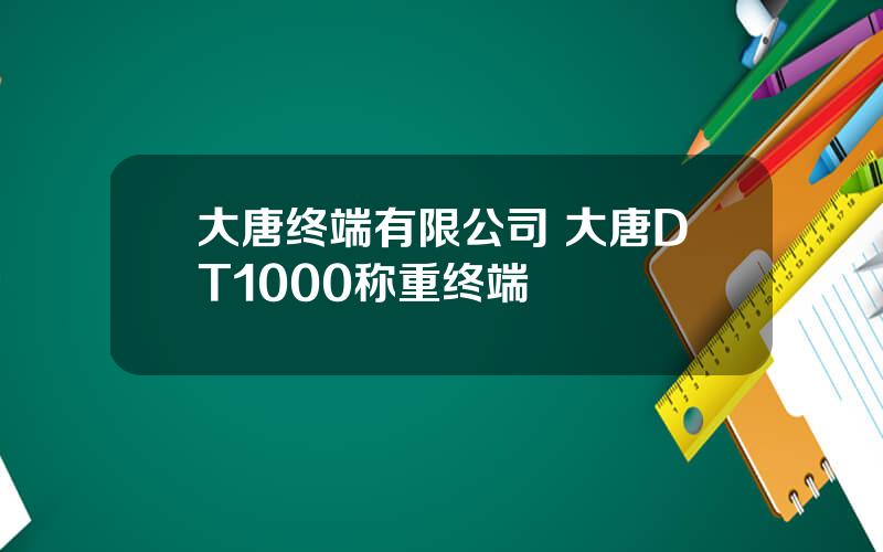 大唐终端有限公司 大唐DT1000称重终端